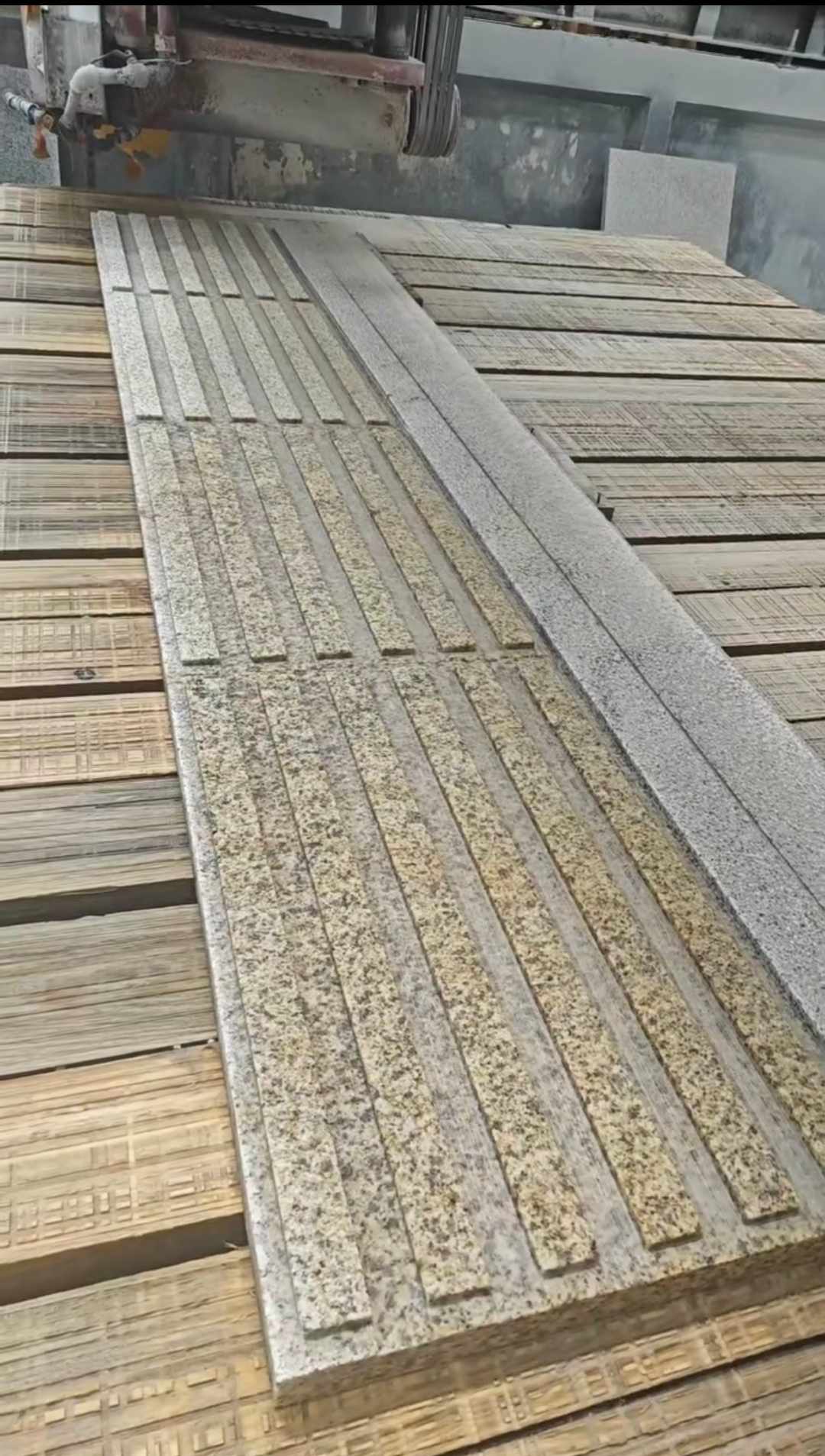青岛黄金麻盲道石 盲条